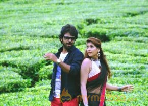 Dandu Movie Stills photo 9