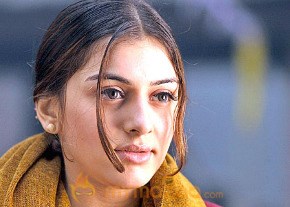 Desamuduru Movie Stills photo 50