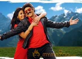 Dictator photo 2