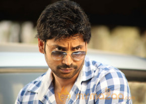 Emo Gurram Egara Vachu Movie Stills  photo 7