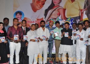 Full Guarantee Movie Audio Launch Photos photo 19
