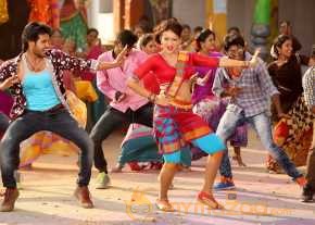 Garam photo 8
