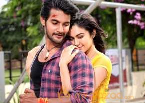 Garam photo 7