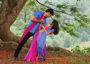 Gayakudu photo 11