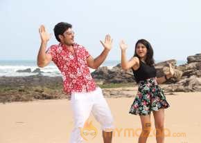 Gayakudu photo 7