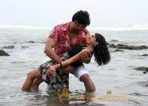 Gayakudu photo 8