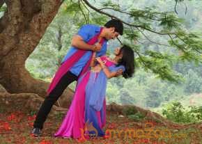 Gayakudu photo 14
