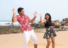 Gayakudu photo 6