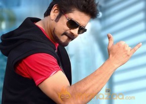 Greeku Veerudu Latest Movie Stills   photo 43