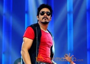 Greeku Veerudu Latest Movie Stills   photo 2