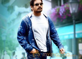 Greeku Veerudu Latest Movie Stills   photo 41
