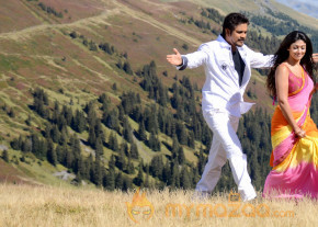 Greeku Veerudu Latest Movie Stills   photo 23
