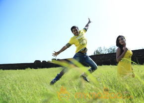 Green Signal Movie Hot Stills  photo 8