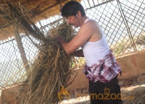 Hithudu Movie Latest Stills photo 24