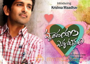 Hrudayam Ekkadunnadi Movie Stills   photo 13