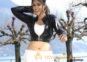 Ileana Latest Gallery  photo 3