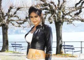 Ileana Latest Gallery  photo 22