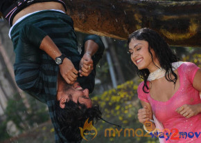Inkosari latest gallery 