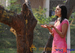 Inkosari latest gallery  photo 7