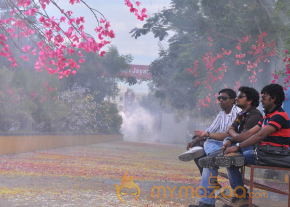 Ista Sakhi Movie Stills Gallery  photo 41