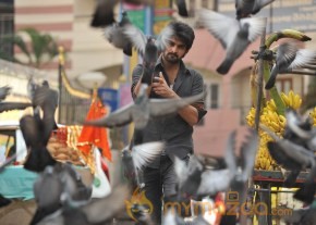 Jadugadu Movie Latest Photo Stills photo 27