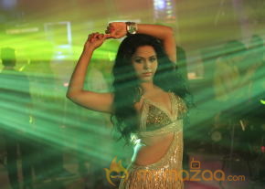 Jagathjentri Movie Stills  photo 23