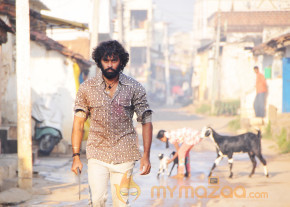 Kaali Charan Movie Stills  photo 5