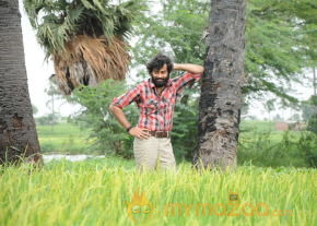 Kaalicharan Movie New Stills  photo 28