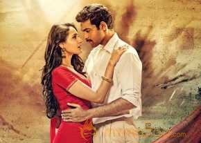  Kanche  photo 15