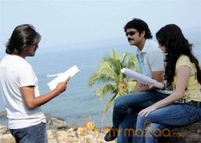 kedi working stills  photo 9