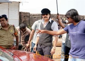 kedi working stills  photo 13