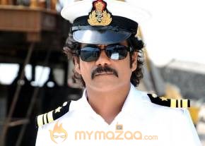 Kedi Photogallery photo 11