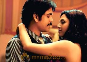 Kedi Photogallery photo 21
