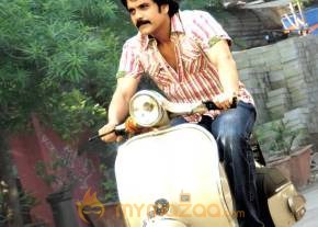 Kedi Photogallery photo 2
