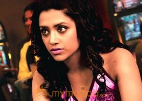 Kedi Photogallery photo 17