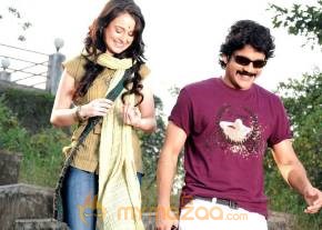 Kedi Photogallery photo 37