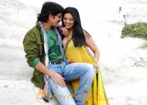 Kedi Photogallery photo 27