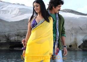 Kedi Photogallery photo 4