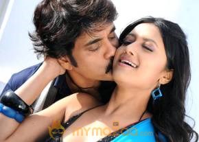 Kedi Photogallery photo 12
