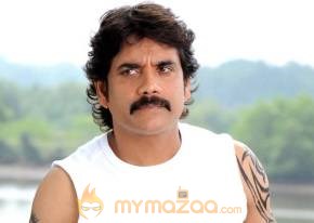 Kedi Photogallery photo 7