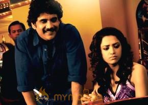 Kedi Photogallery photo 9