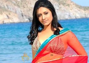 Kedi Photogallery photo 20