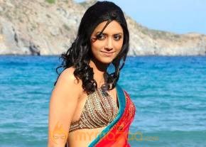 Kedi Photogallery photo 45