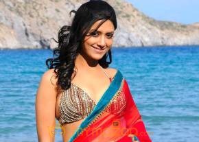 Kedi Photogallery