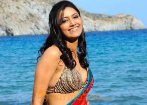 Kedi Photogallery photo 23