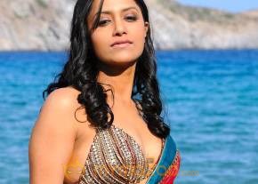 Kedi Photogallery photo 14