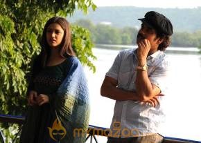 Kedi Photogallery photo 10