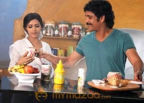 Kedi Photogallery photo 13