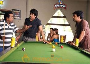 Kedi Photogallery photo 5