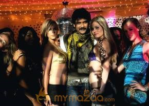 Kedi Photogallery photo 3